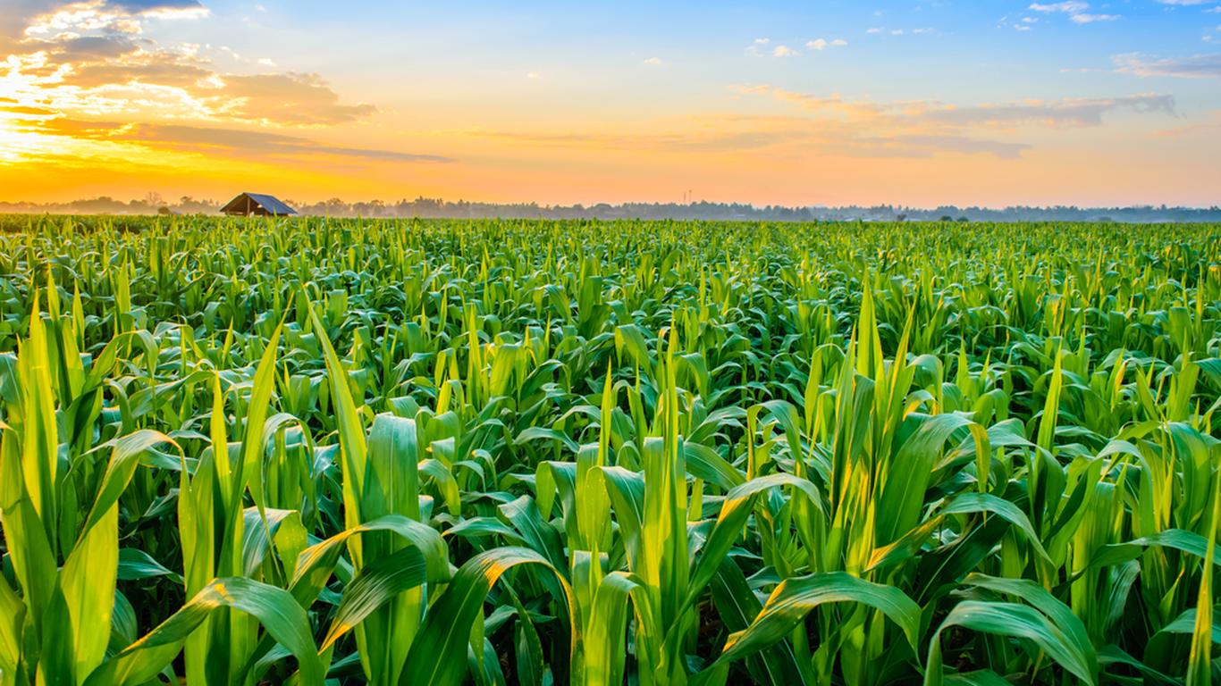 Agriculture